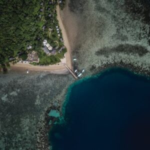 Read more about the article Sed ultrices cras pellentesque ipsum condimentum bibendum auctor lacinia nibh risus